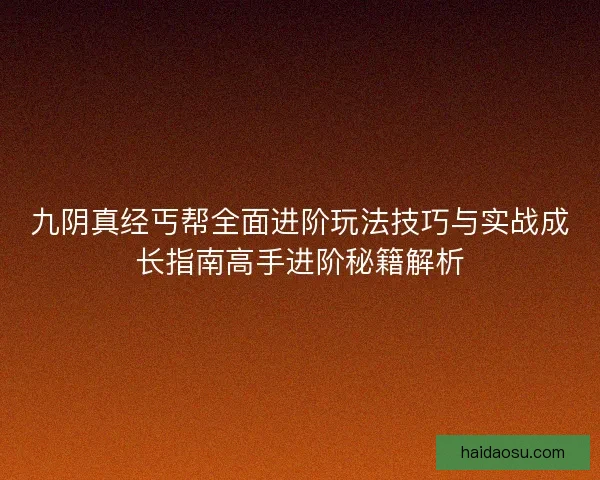 九阴真经丐帮全面进阶玩法技巧与实战成长指南高手进阶秘籍解析